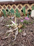 New beginnings in the spring