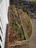 Early spring