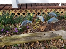 Ceramic fish