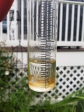 1 1/2" of Rain