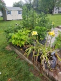 Grow bags along the patio