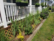 Front Porch Garden