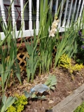 Front Porch Garden