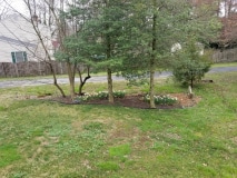 Shade Garden