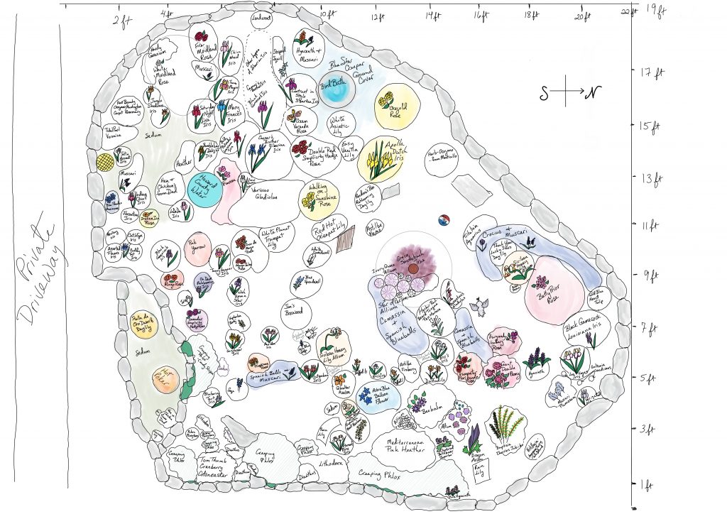 Flag Garden Plan 2020 Garden plan 2020