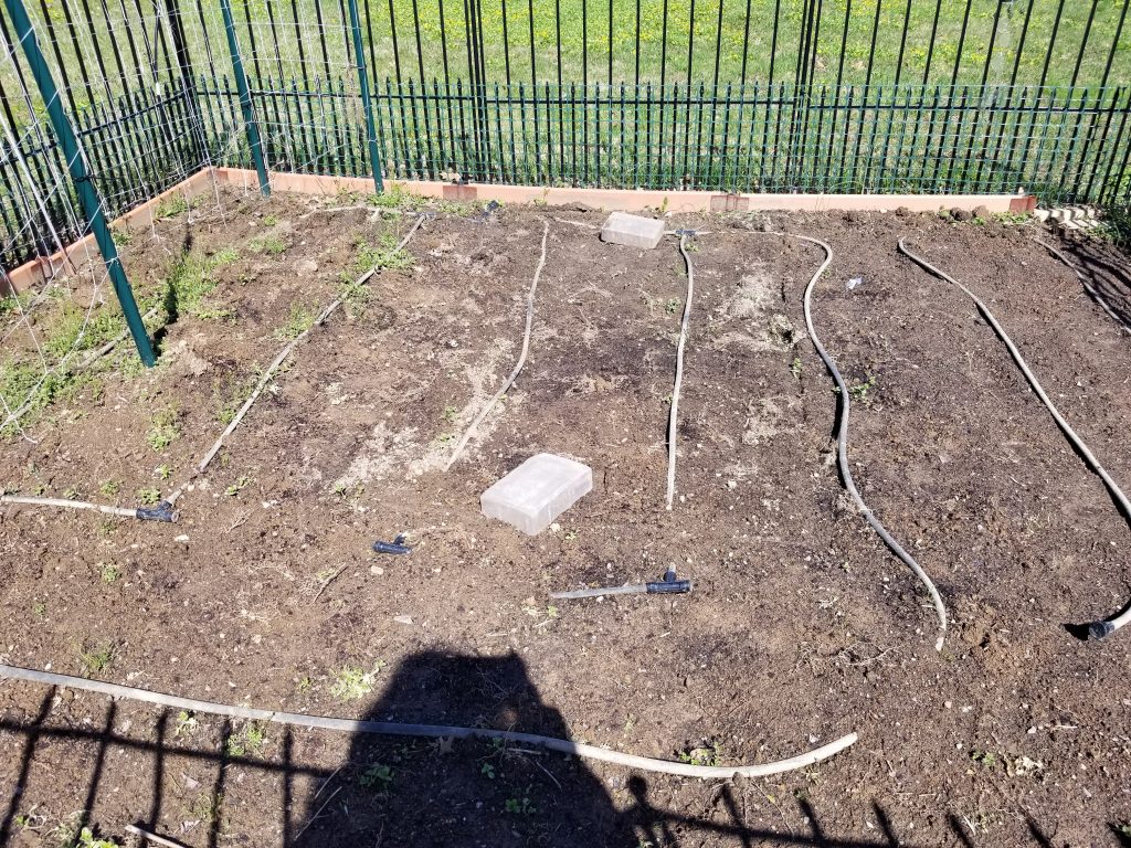 Empty veggie garden