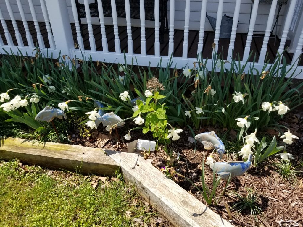 Fish in the Garden