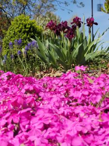 Spring Tasks